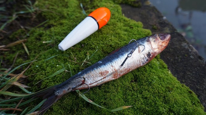 Pike Deadbait Rigs - Pike Traces - Fishing Dead Bait Rig