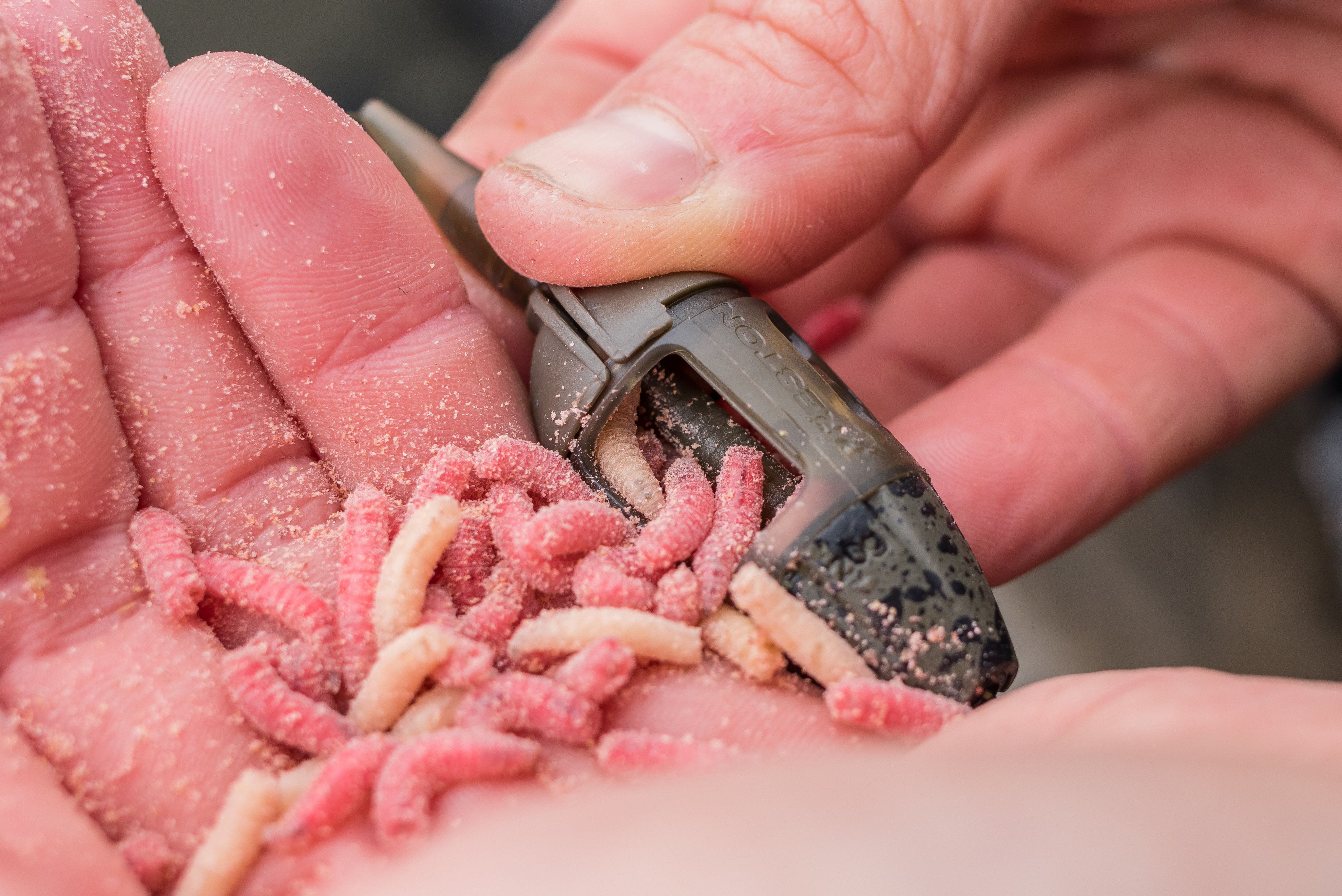 Worm Ring Clip Maggot Live Bait Pellets Holder Hair Rig For Carp