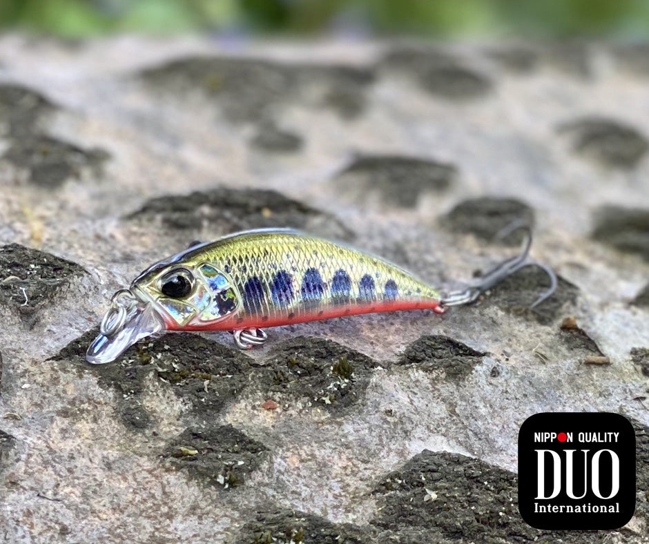 Best lures for trout