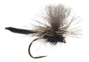 Fishing fly with black and brown body on a white background