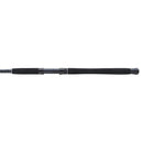 Mitchell Tanager SW Boat Rod