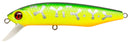 Pontoon 21 Dexter Minnow 71SP-SR 070