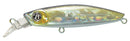 Pontoon 21 Gaga Goon 45 MS-SR R30 Funa