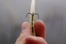 Quantum Claw Treble Hooks
