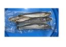 DeadBait Frozen Pike Pack