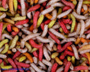 Pinkies Mixed Colors 0.5pint