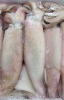DeadBait Frozen Squid Bag 3-4pcs