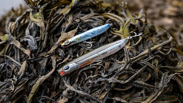 Unleash the Power of the Berkley DEX Strider: The Best Topwater Lure for Sea Bass Fishing in Ireland