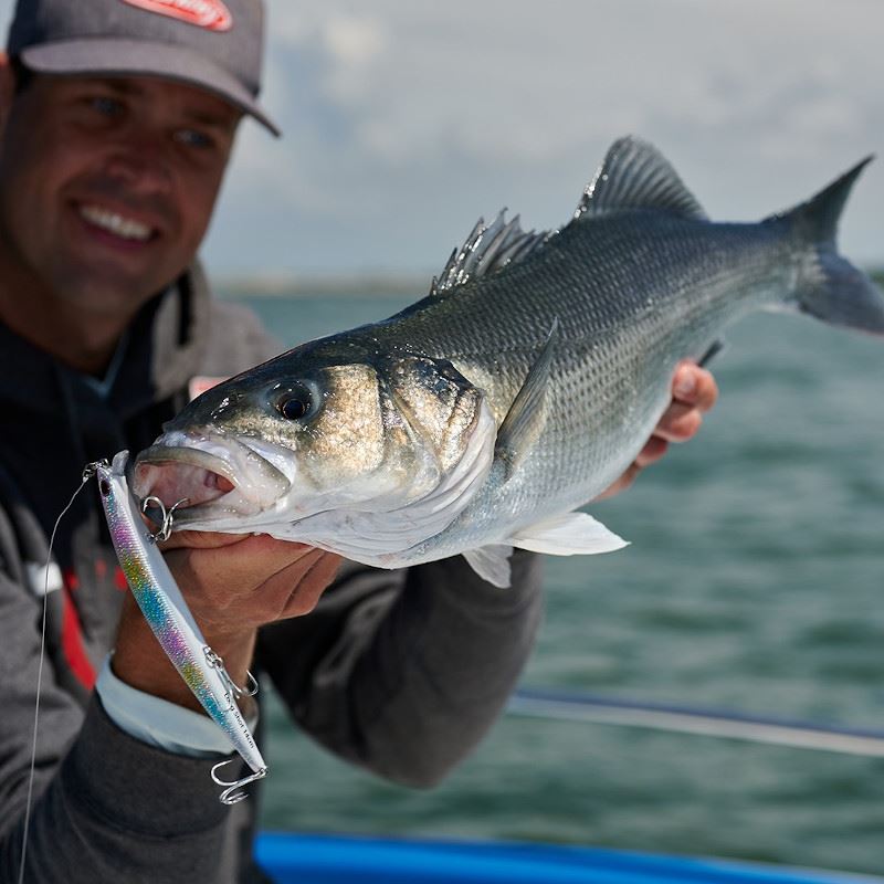 Maximize Your Success with the Berkley DEX Longshot Minnow: The Ultimate Lure for Sea Bass Fishing in Ireland