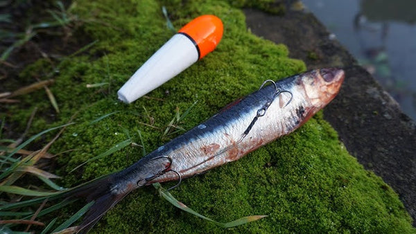 CJT Unloaded Pike Deadbait Float – All-Round Predator Float, Coarse & Saltwater