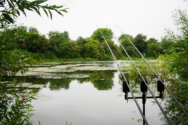How to Fish Successfully in Weedy Areas