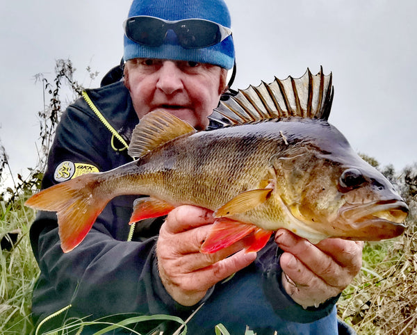 All you need to know about catching Perch