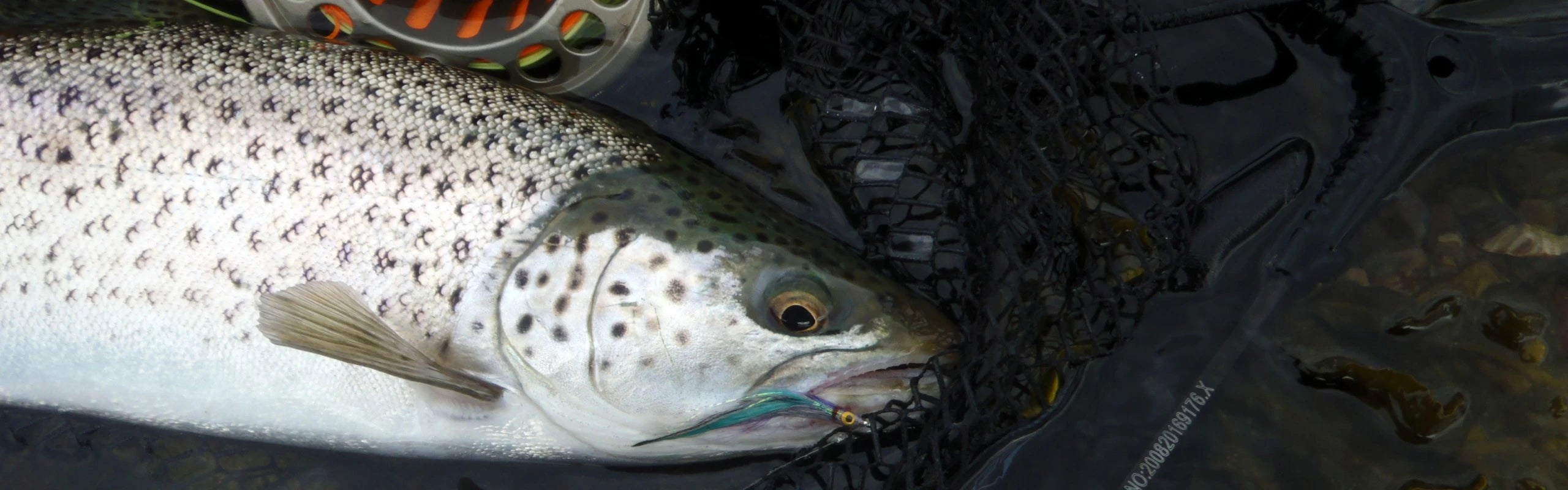 Fly Fishing Ireland | Sea Trout & Bass Gear Guide | DuoHook Tackle Shop