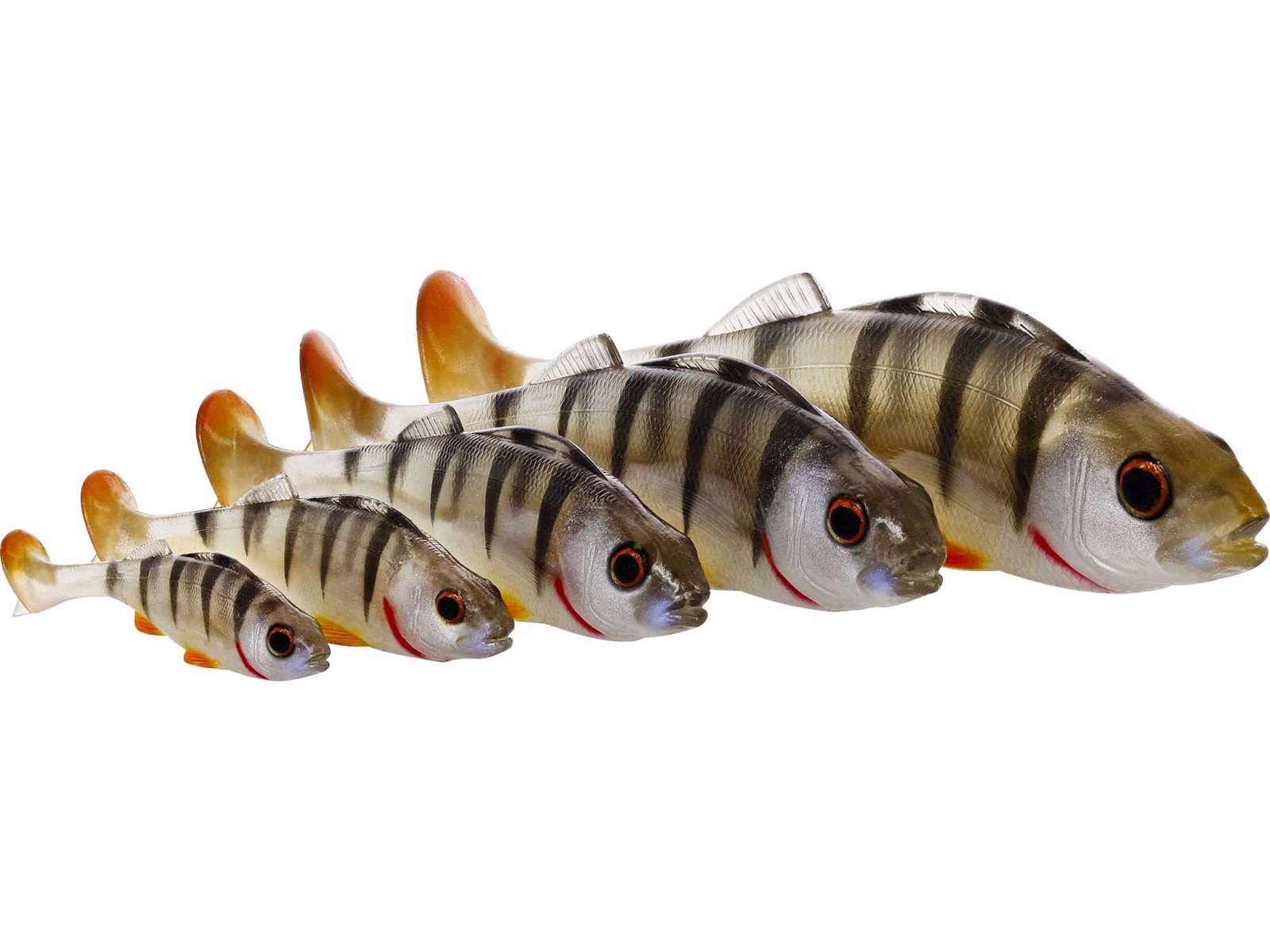 Westin Original Perch - Esche Siliconiche - Negozio di pesca Westin Original Perch - Esche Siliconiche - Negozio di pesca