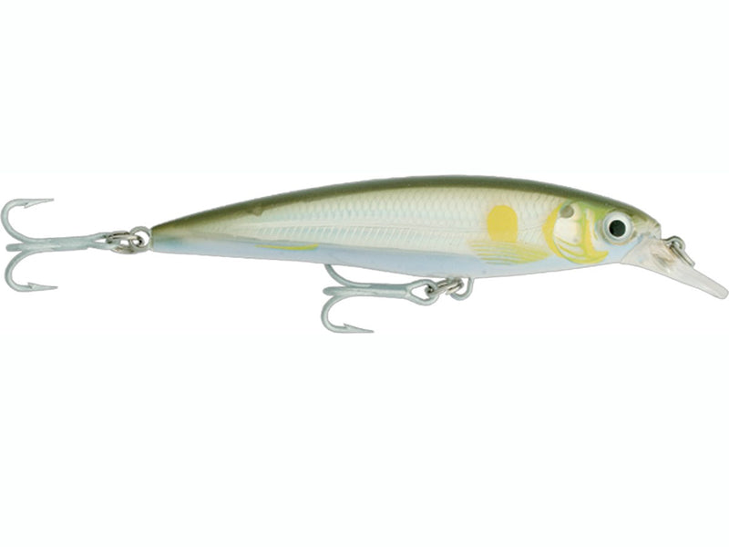 Rapala X-Rap Saltwater 10cm 13g Ayu