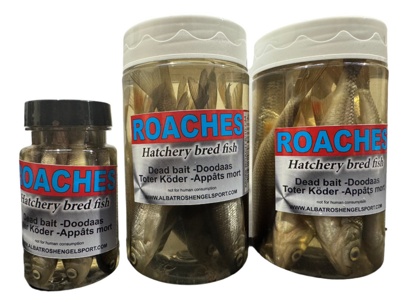 DeadBait Jar Roach