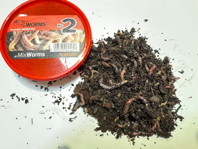 Worms