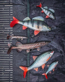 Fox Rage Ultra Realistic Perch Replicant 10cm 19g