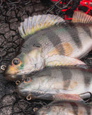 Fox Rage Ultra Realistic Perch Replicant 10cm 19g