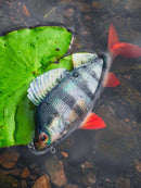 Fox Rage Ultra Realistic Perch Replicant 10cm 19g