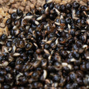 Dynamite Baits Frenzied Hempseed Can 350g