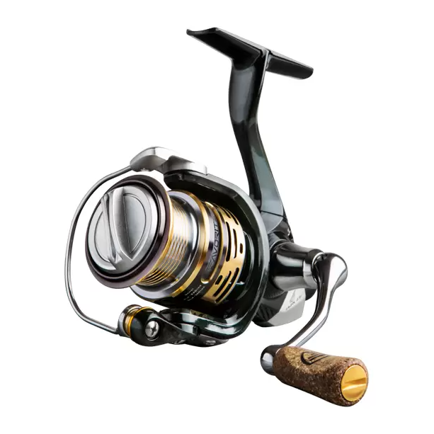Favorite Arena Reel