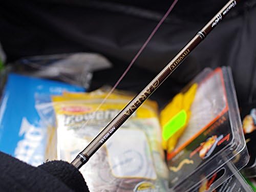 Favorite Arena Spinning Rod