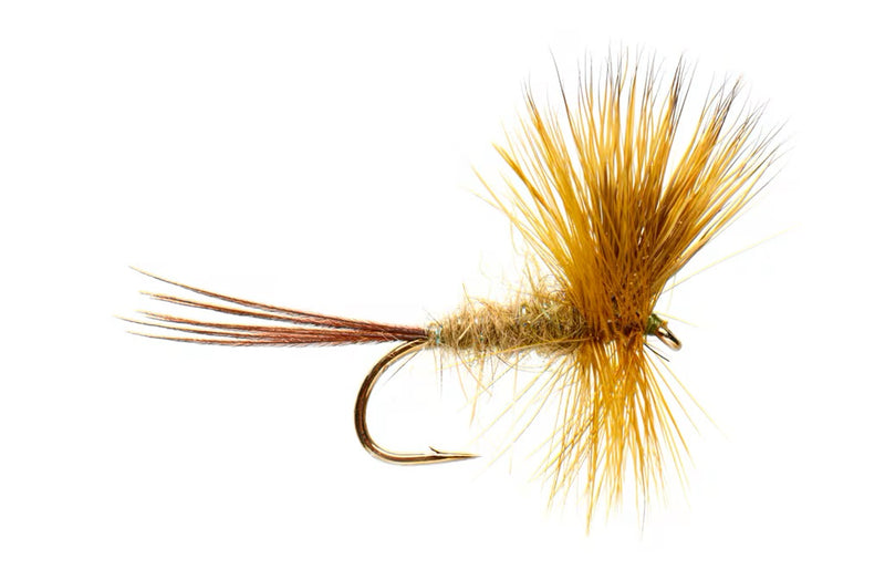 Fulling Mill Jackies Arrow Green Mayfly