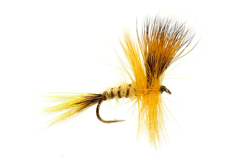 Fulling Mill Jackies Yellow May