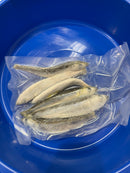 DeadBait Frozen Herring
