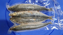DeadBait Frozen Mackerel