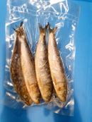 DeadBait Frozen Sardine