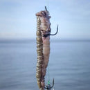 Inova Bait Rapper Elastic