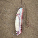 Inova Bait Rapper Elastic