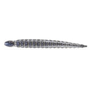 Keitech Custom Leech 3" 7.5cm Pro Blue Shiner 305C