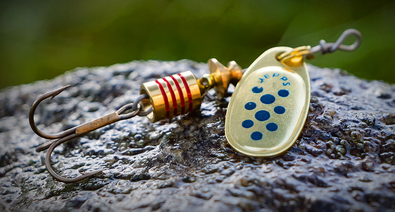 comet fishing lure Mepps Comet Blue Dot Gold Spinner Trout Perch Lure Ireland