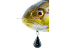 Westin Tommy the Trout Inline SS Real Rainbow Trout
