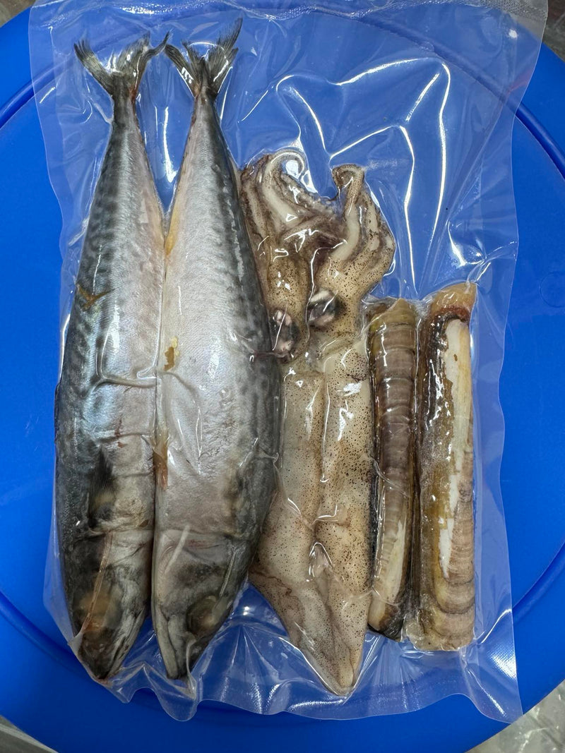 DeadBait Frozen Sea Pack Premium Fishing Bait for Sea Fishing in