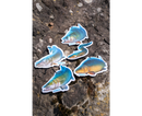 Zebco Target Fish Air Freshener