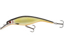 Westin Platypus Crankbait 16cm 56g Official Roach