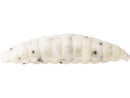 Westin Maggot Garlic Cheese 4.8cm 2.2g Floating White