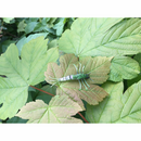 Savage Gear 3D TPE Mayfly Nymph 5cm 2.5g Green