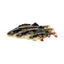 Savage Gear 4D Perch Shad 17.5cm 68g Blue Silver