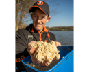 Sonubaits Essential Ingredients Punch Crumb 700g