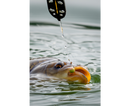 Sonubaits Spike'um Wafter 8mm