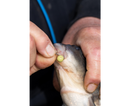 Sonubaits Spike'um Wafter 8mm