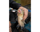 Sonubaits Spike'um Wafter 8mm