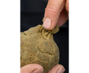 Sonubaits Stiki Paste 500g Carp Paste Bait