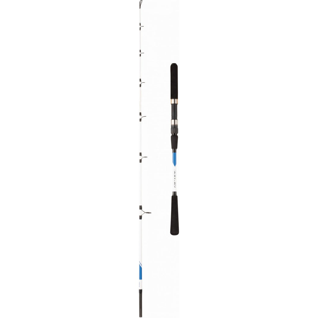Mitchell Riptide R Beach Rod Mitchell Riptide Jig Rod