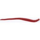 Berkley Gulp! Alive Nereis Ragworm 6'' Bloody